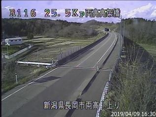 1190.jpg