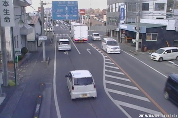 1031.jpg