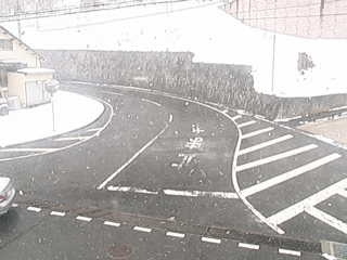 1104.jpg