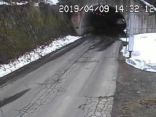 1290.jpg