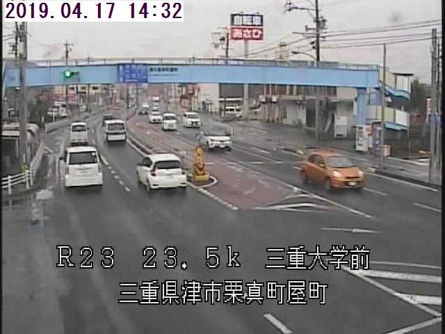 2554.jpg