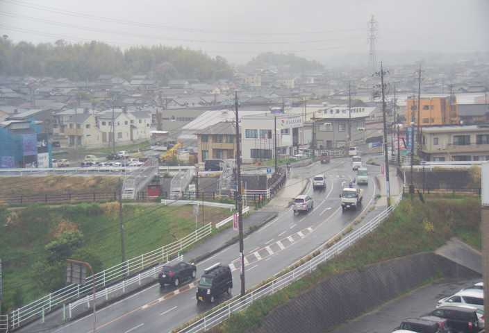2812.jpg