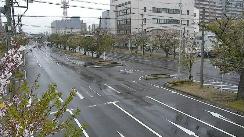 2815.jpg
