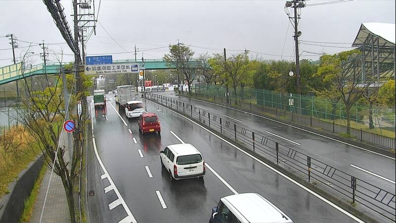 2856.jpg