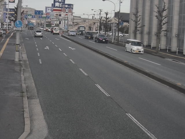 3397.jpg
