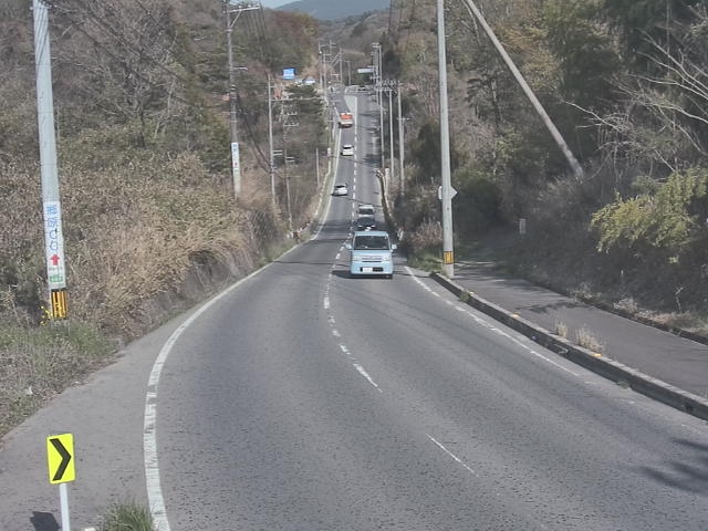 3402.jpg
