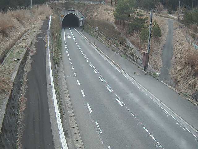 3403.jpg