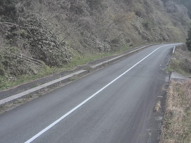3406.jpg