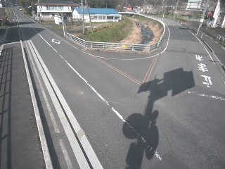 3532.jpg