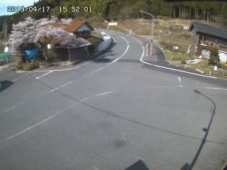 3536.jpg