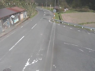 3544.jpg