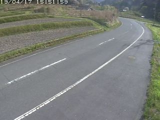 3545.jpg