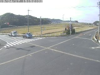 3546.jpg