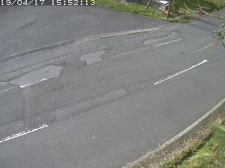 3555.jpg