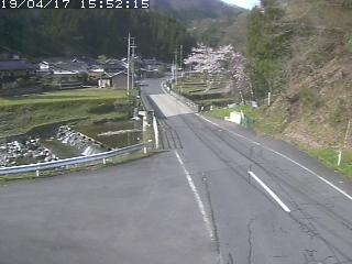 3590.jpg