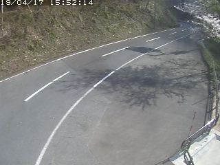 3594.jpg