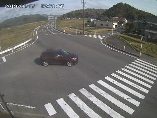 3597.jpg