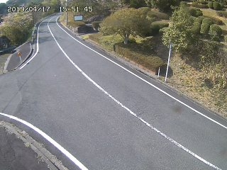 3610.jpg