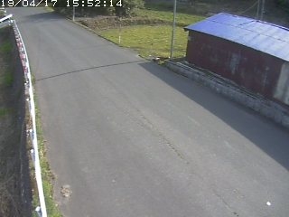 3636.jpg