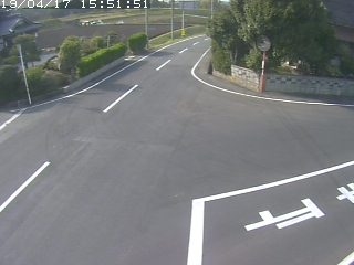 3650.jpg