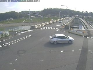 3697.jpg
