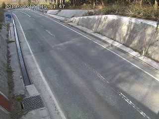 3705.jpg