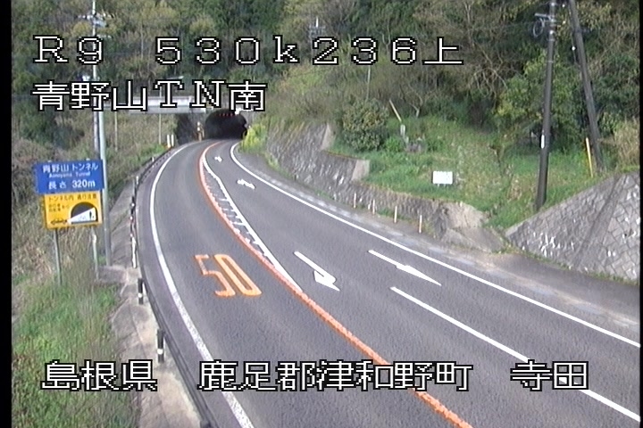 3786.jpg