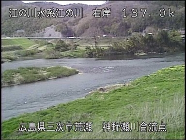 3803.jpg