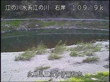 3811.jpg