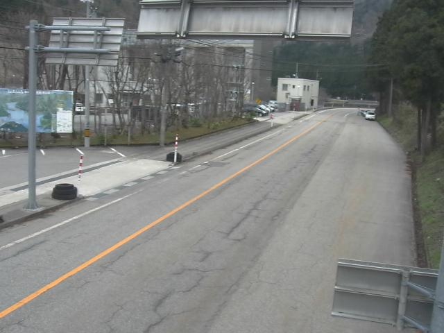 1995.jpg