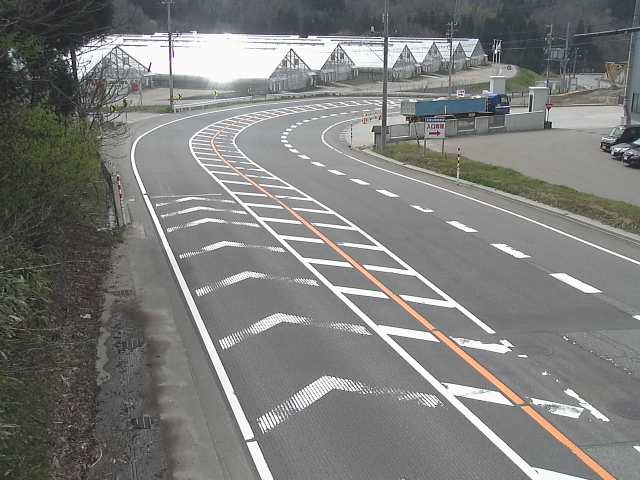 1998.jpg