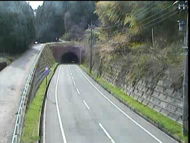 2885.jpg
