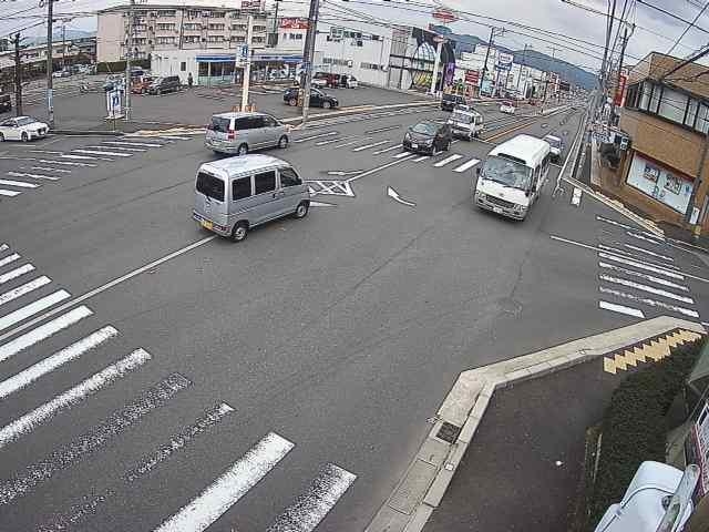 2894.jpg