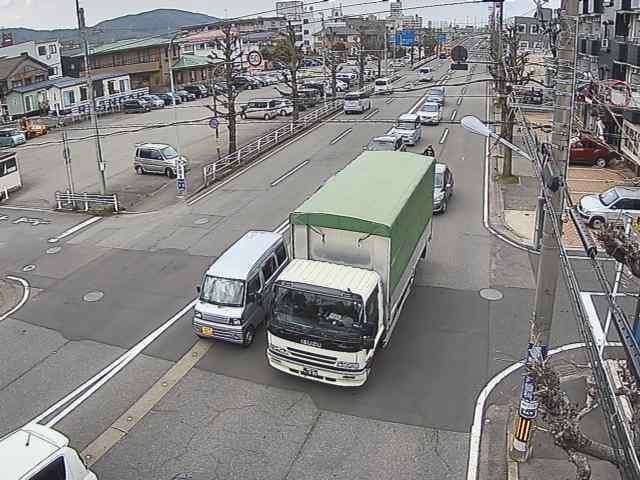 2903.jpg