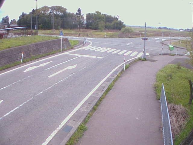 2907.jpg
