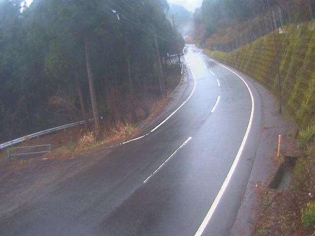 2911.jpg