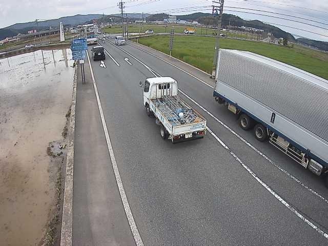 2915.jpg