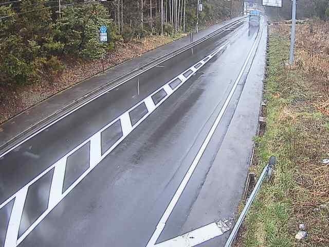 2924.jpg