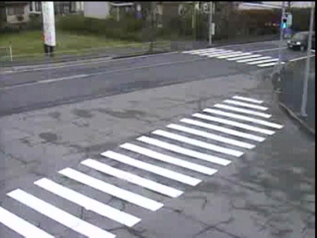 2925.jpg