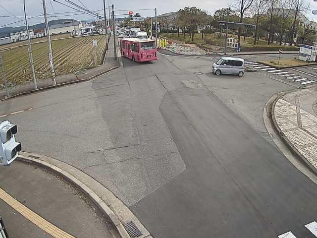 2933.jpg