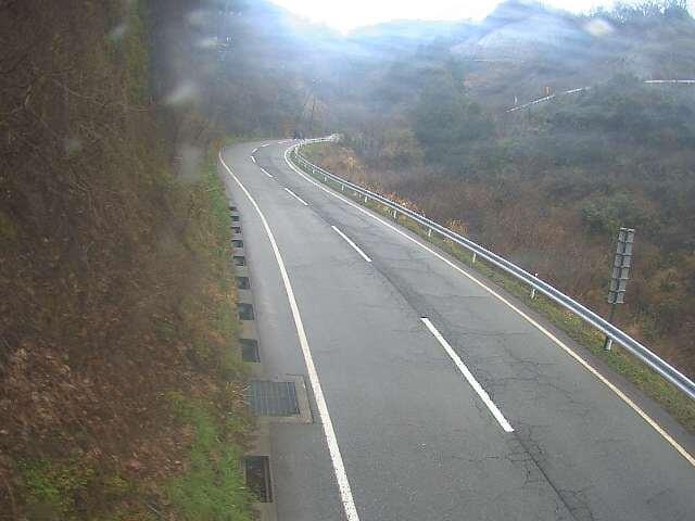 2938.jpg