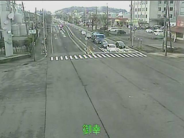 2943.jpg