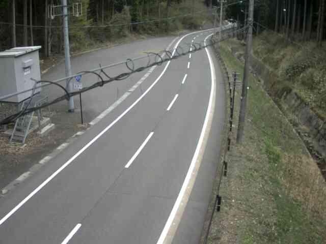 2949.jpg