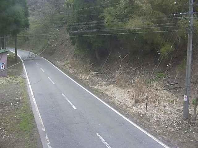 2955.jpg