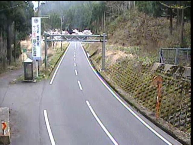 2956.jpg
