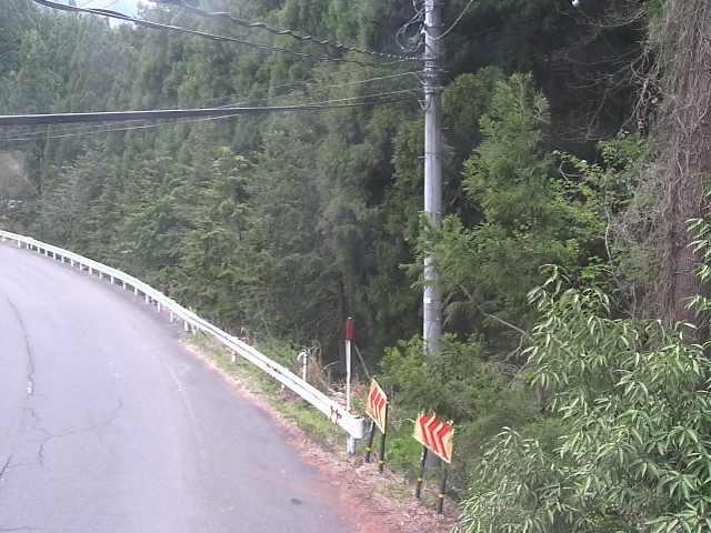 2957.jpg