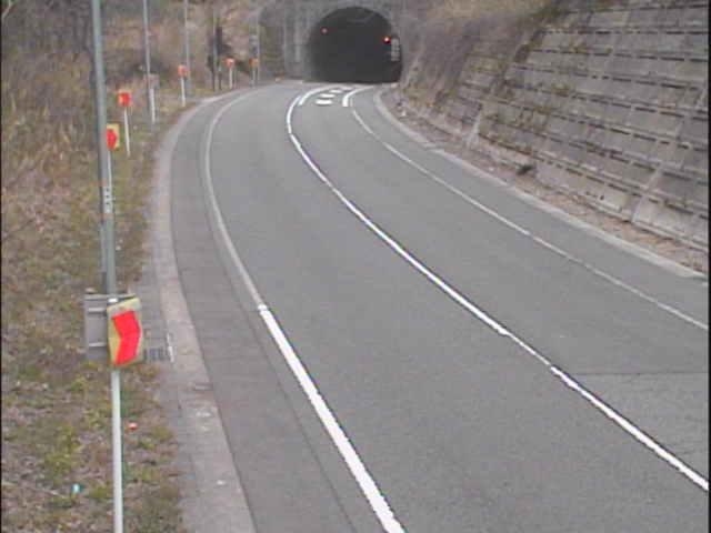 2960.jpg