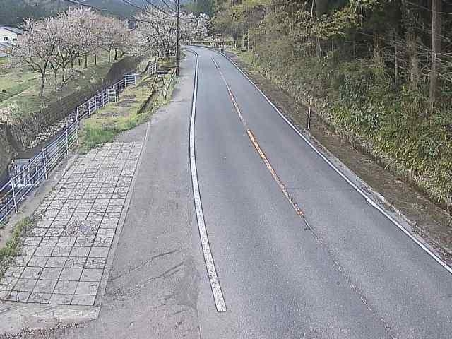 2962.jpg