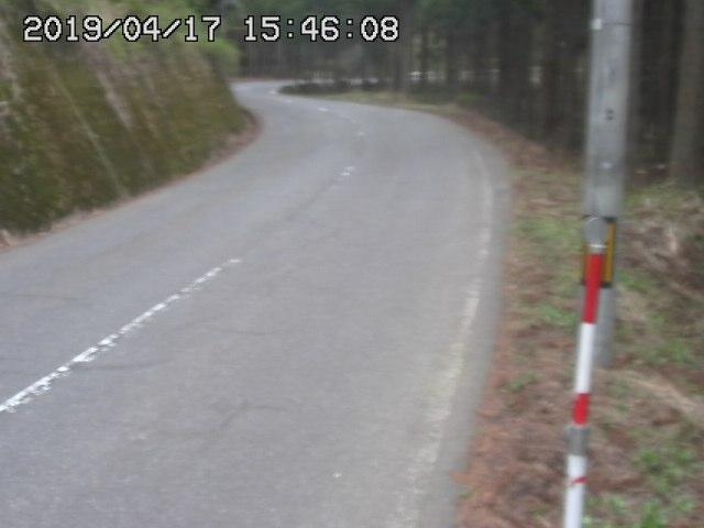 2970.jpg