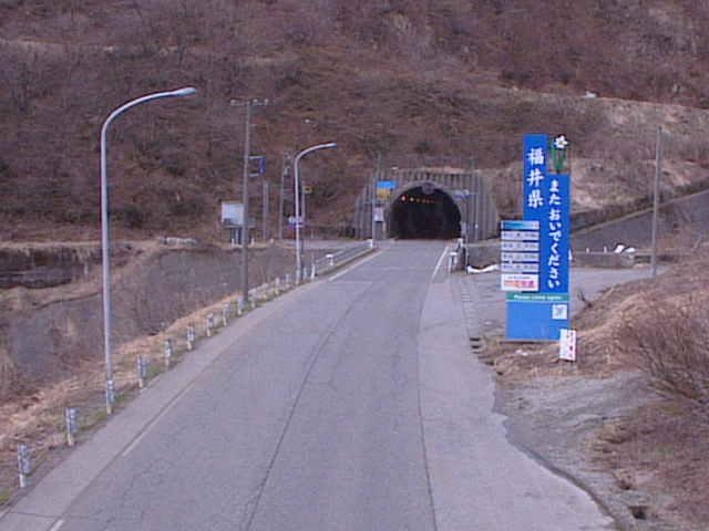 2972.jpg